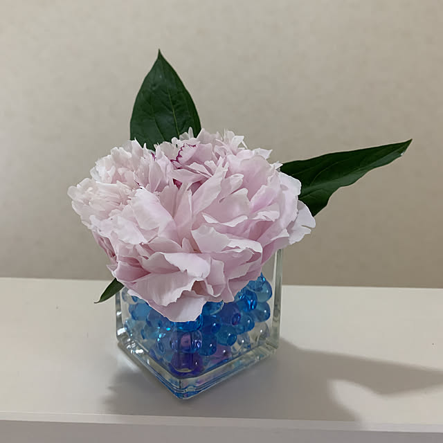 eshinobumさんの実例写真