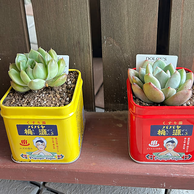Fumiさんの部屋
