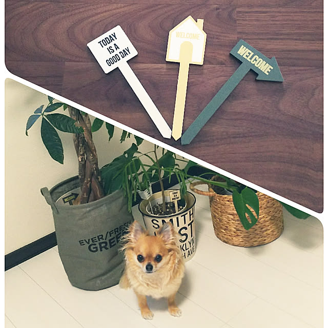 kojikojiさんの実例写真