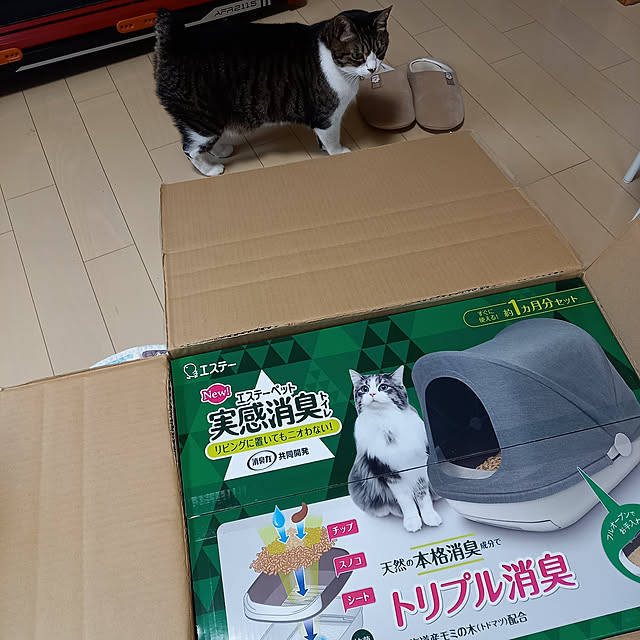 civicglさんの実例写真
