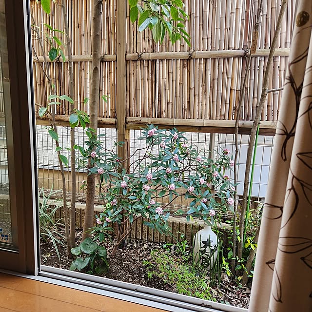 yasu10さんの実例写真