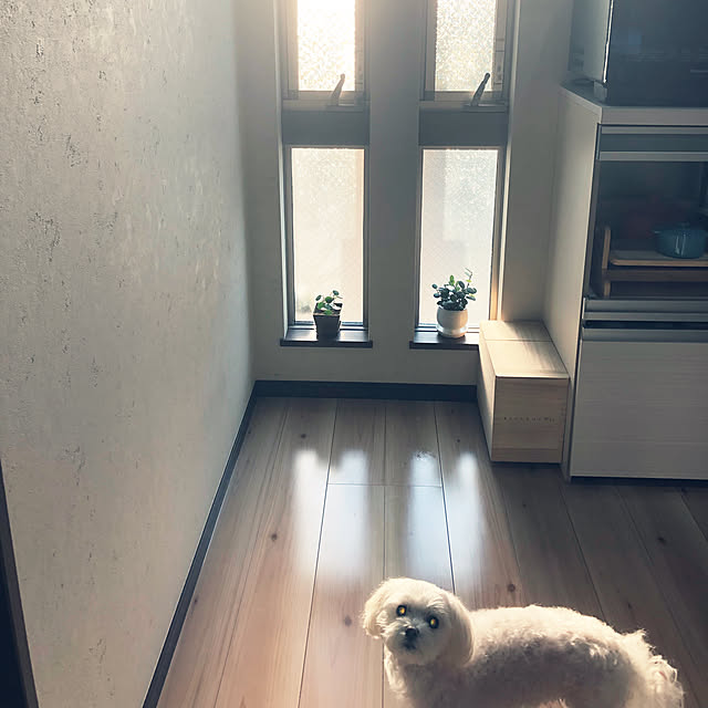 Shihoさんの実例写真
