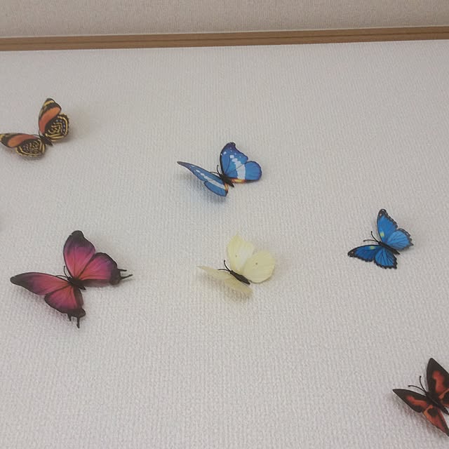 Tomokoさんの実例写真