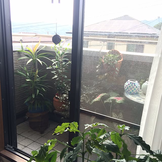 amiさんの実例写真