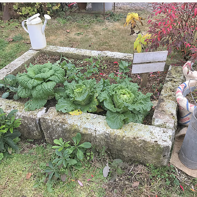 TOROさんの実例写真