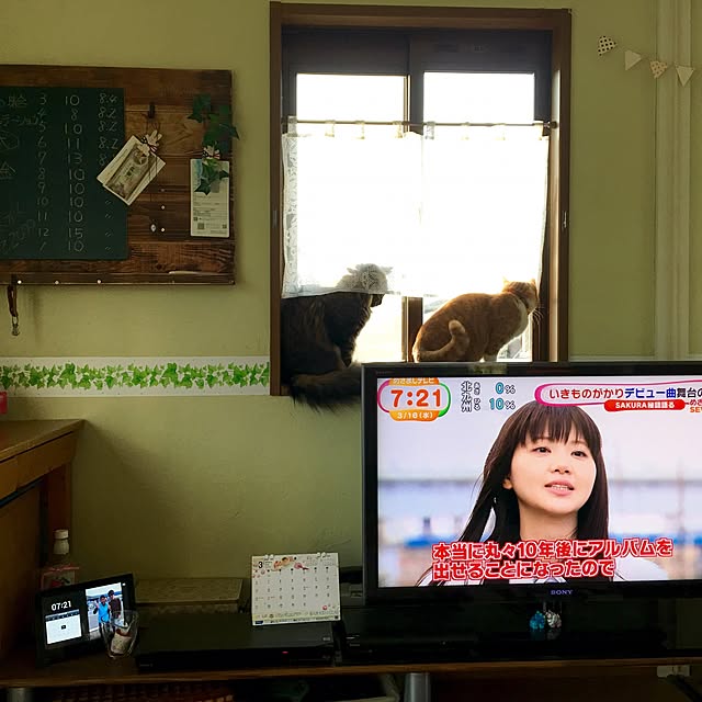 Naoさんの実例写真