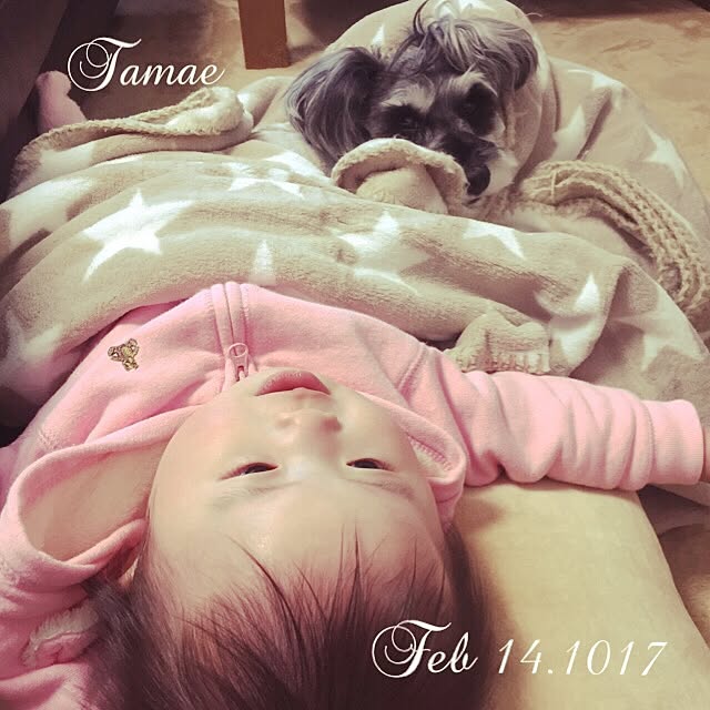 tamaeさんの実例写真