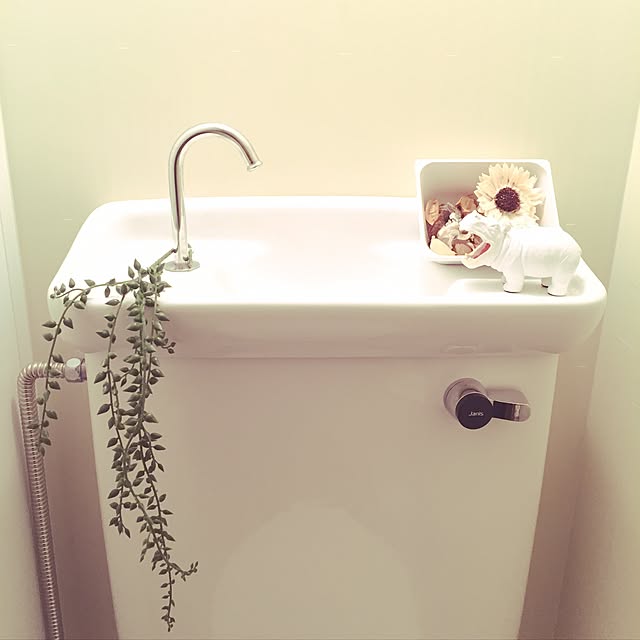 maru_mazuさんの実例写真