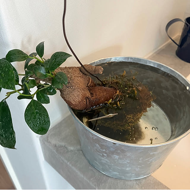 IROさんの部屋