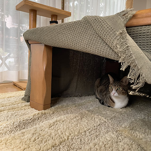 nobikoさんの実例写真