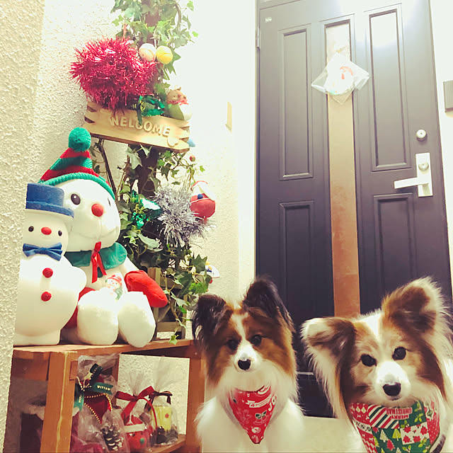 okachakoさんの実例写真