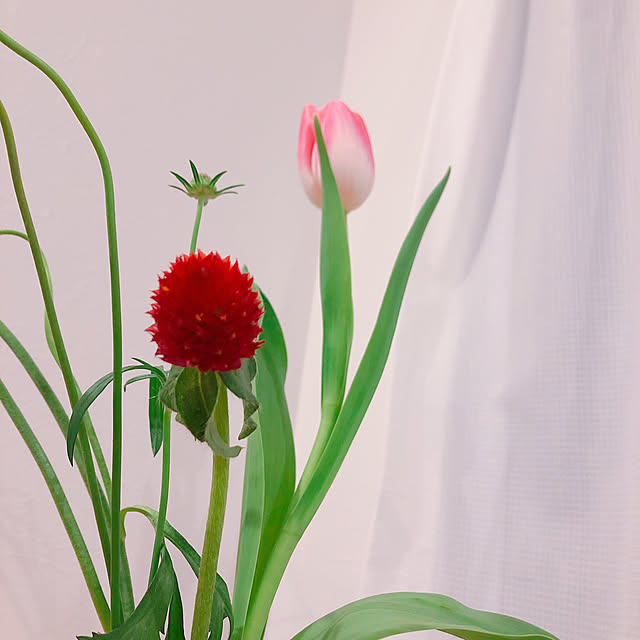 Akaneさんの実例写真