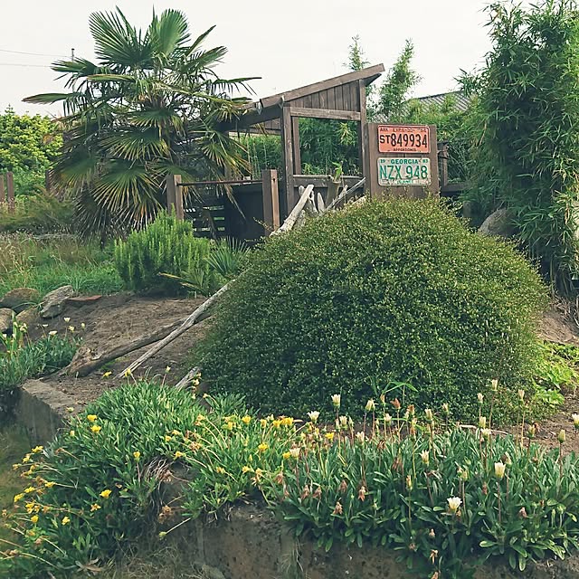 TOUEMONさんの実例写真