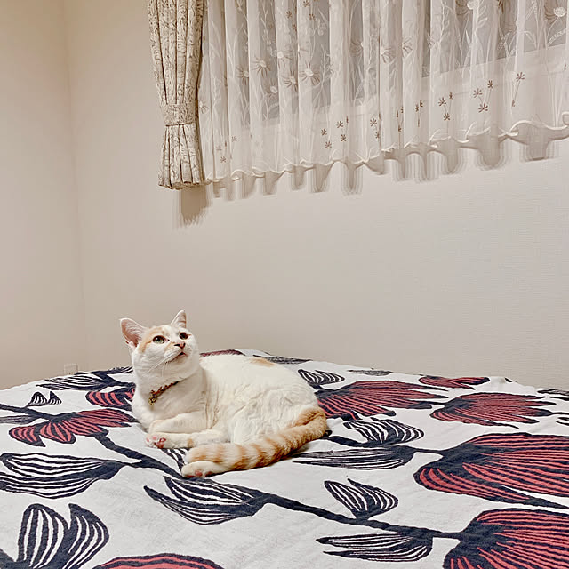 nennekoさんの実例写真