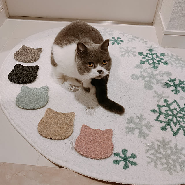 KEIKOさんの実例写真
