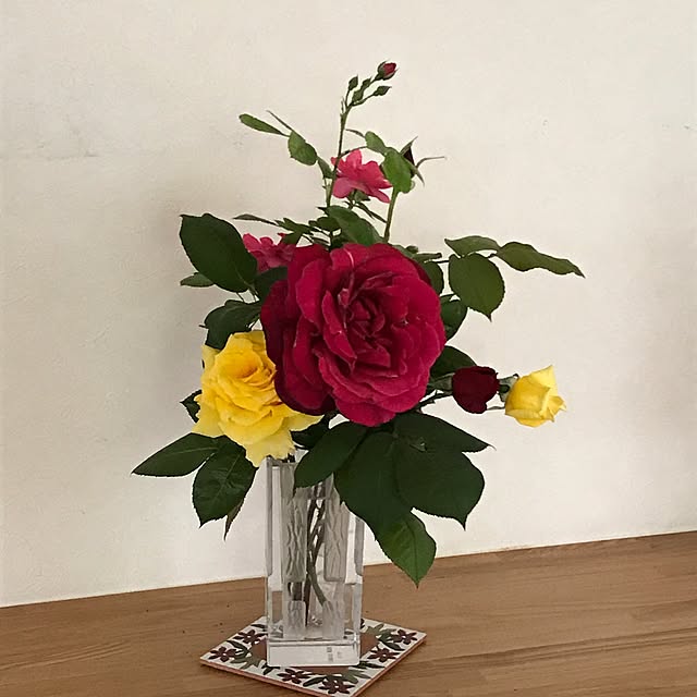 momoさんの実例写真