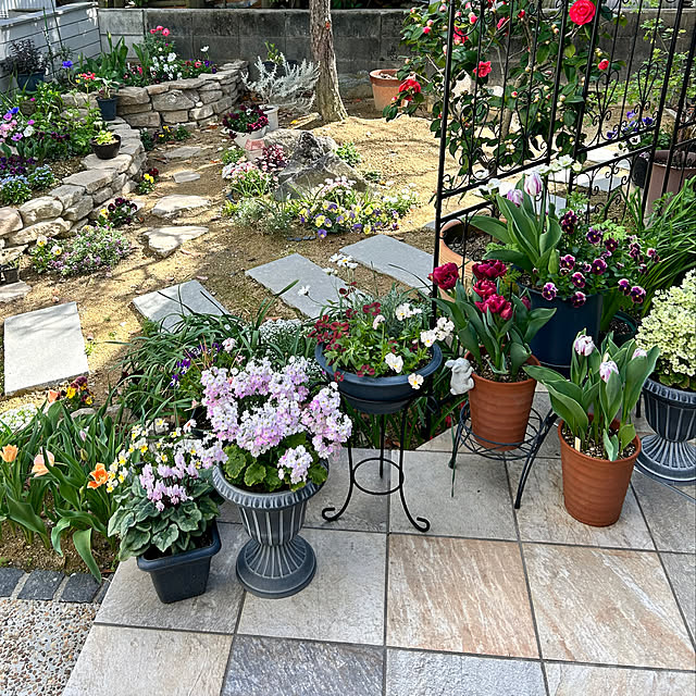violetさんの部屋