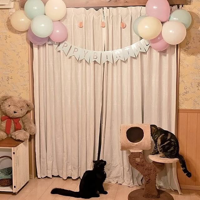 amandaさんの実例写真