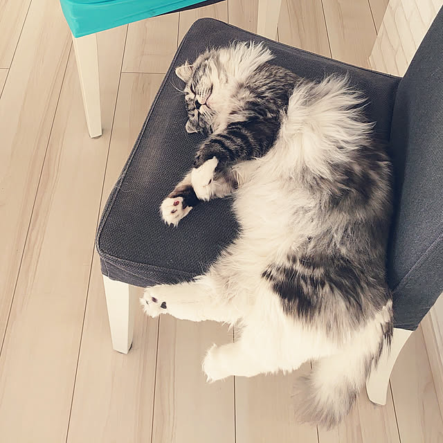annetina374さんの実例写真