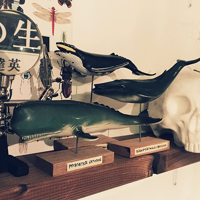 KisanukiTakashiさんの実例写真