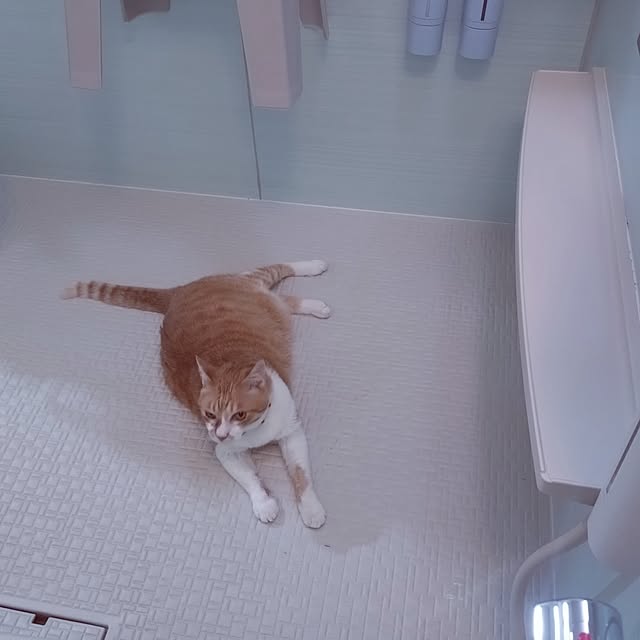 NOAHさんの部屋