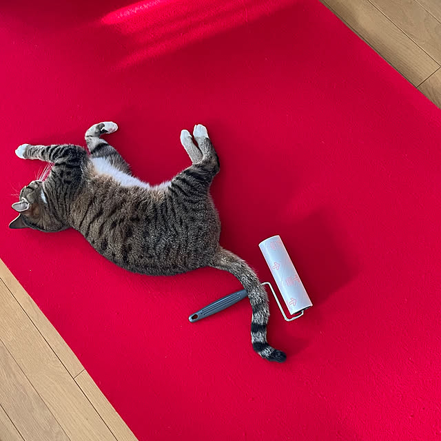 nobikoさんの部屋