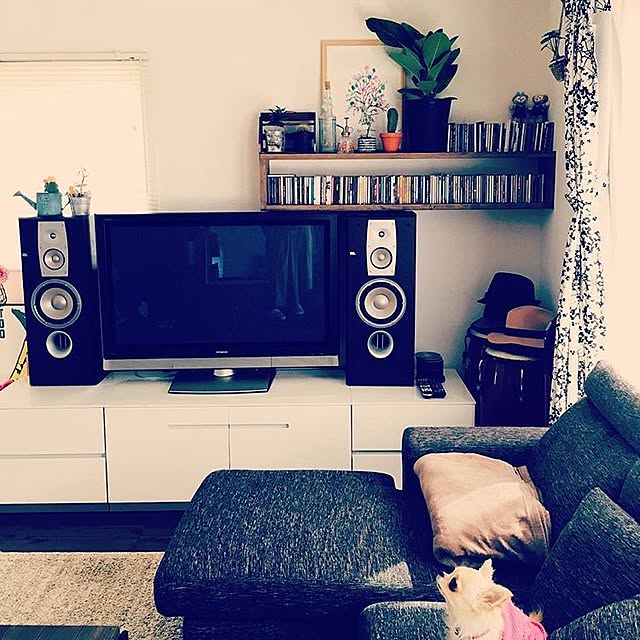zerogravitygoさんの実例写真