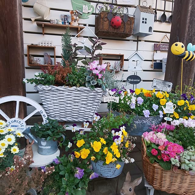 seiko44さんの部屋