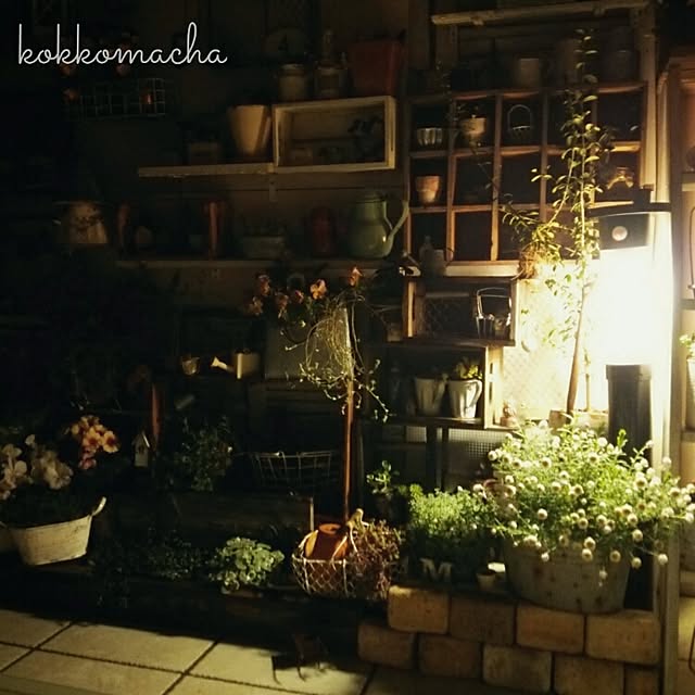 kokkomachaさんの実例写真