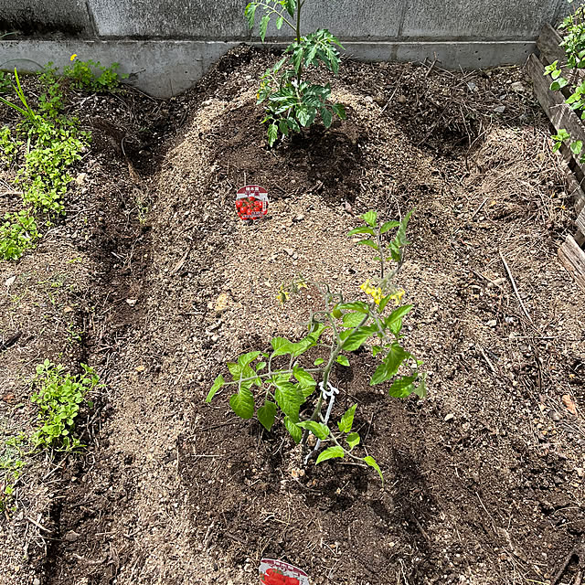 seiさんの実例写真