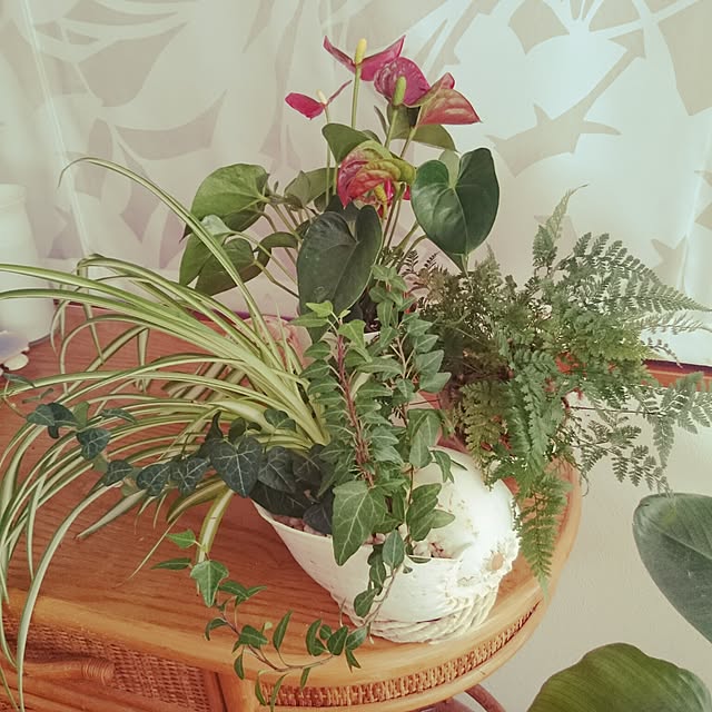 piolaniさんの実例写真