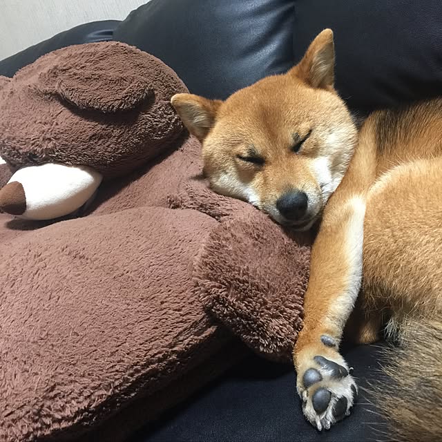 mtkさんの実例写真