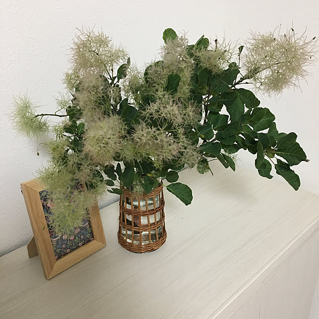 tomokonoboru6369さんの実例写真