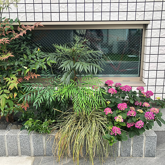 Rororiさんの実例写真