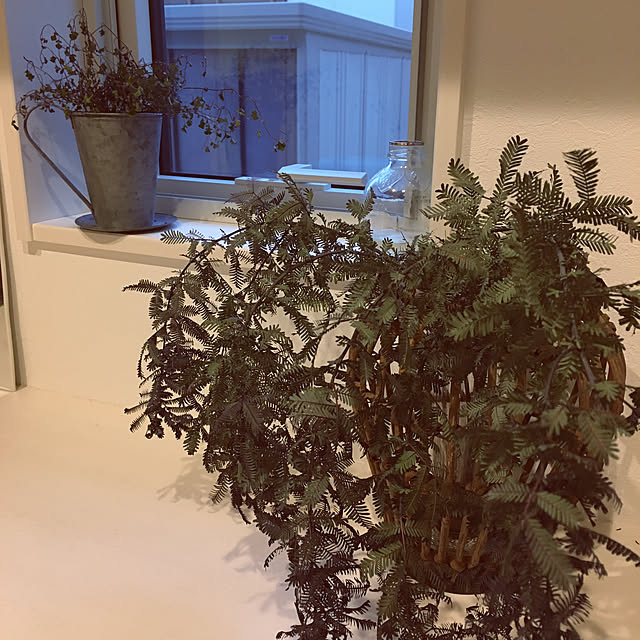 UIさんの実例写真