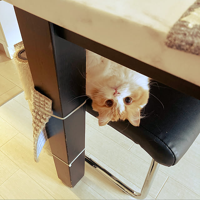 H.Tさんの実例写真