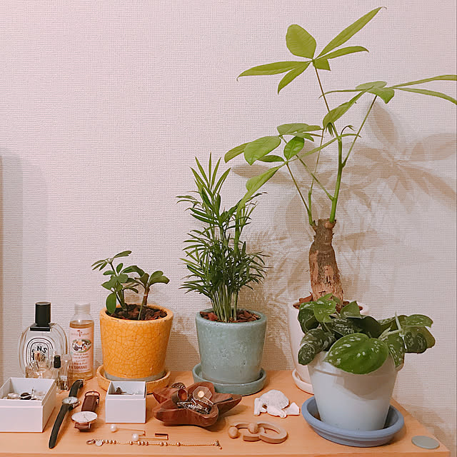 negimisaさんの実例写真