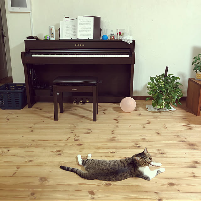yurari.bonnさんの実例写真