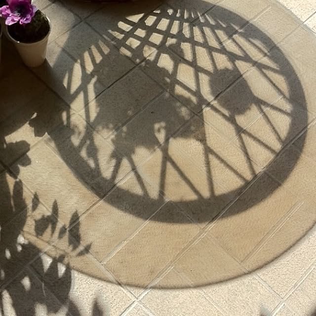 fukami_mさんの実例写真