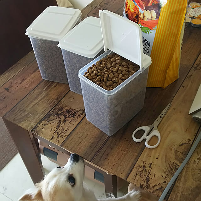 nonさんの実例写真