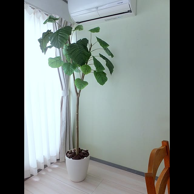 Sunnyさんの実例写真