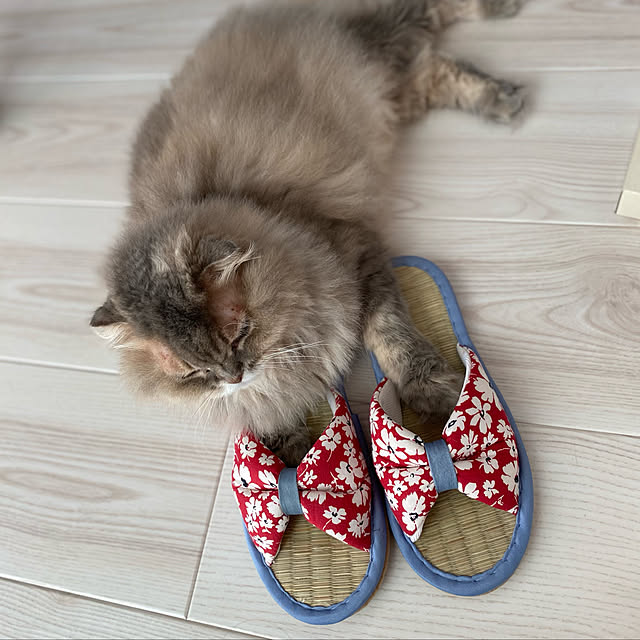 Mahoさんの実例写真
