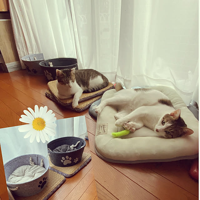 Lufuさんの実例写真