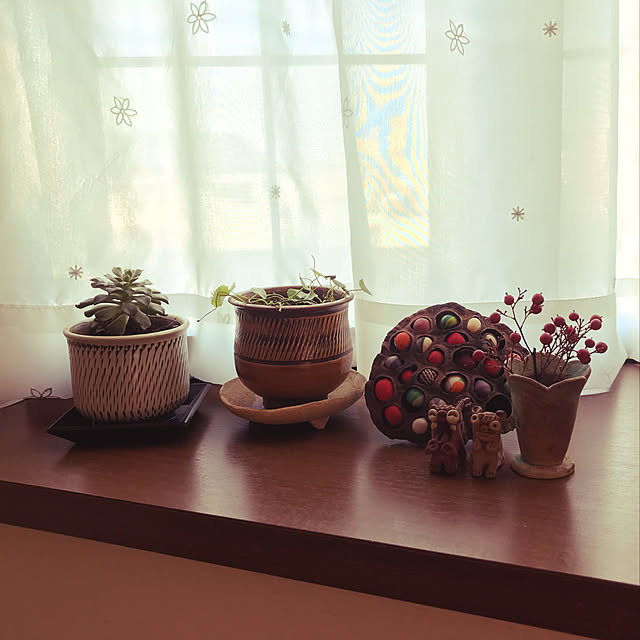 ricaさんの実例写真