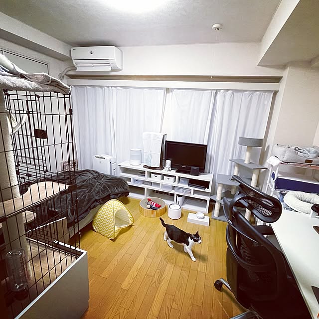 Chisaさんの実例写真