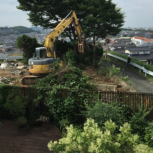 satochanさんの実例写真