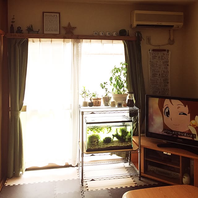 riaさんの実例写真