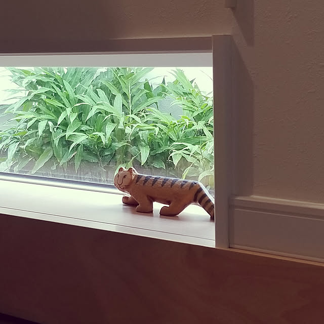 shimaaadsさんの実例写真