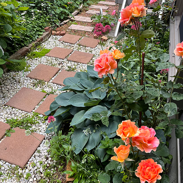 YU-KAさんの部屋