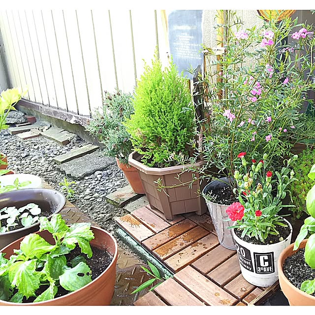 tomokaさんの実例写真